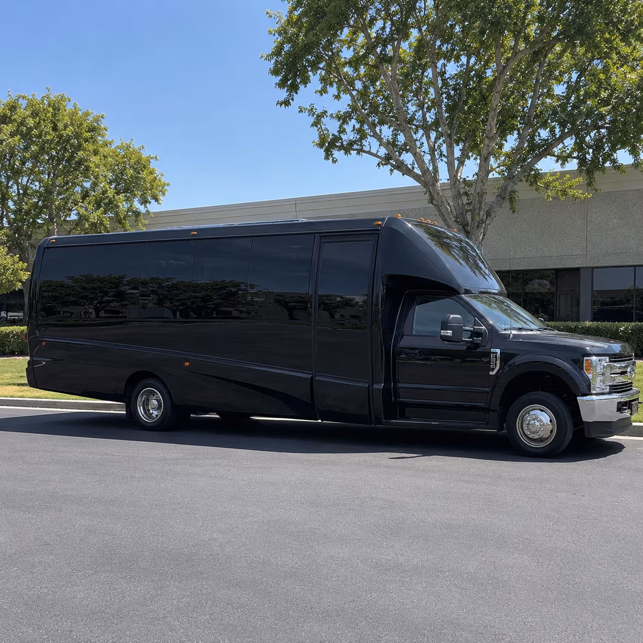 hit every photo stop in your jackson party bus before the dance